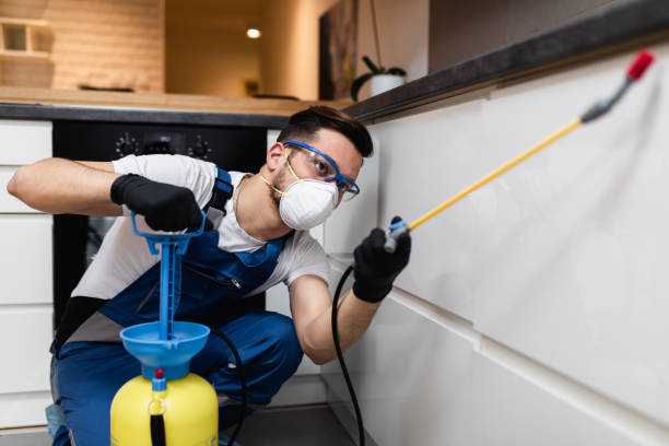 Best Affordable Pest Control Services  in West Point, GA
