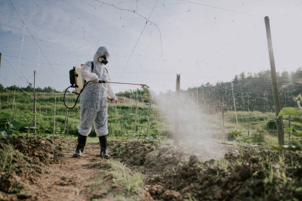 Best Commercial Pest Control Services  in West Point, GA