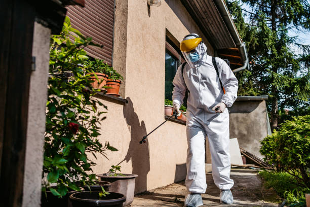 Best Local Pest Control Services  in West Point, GA
