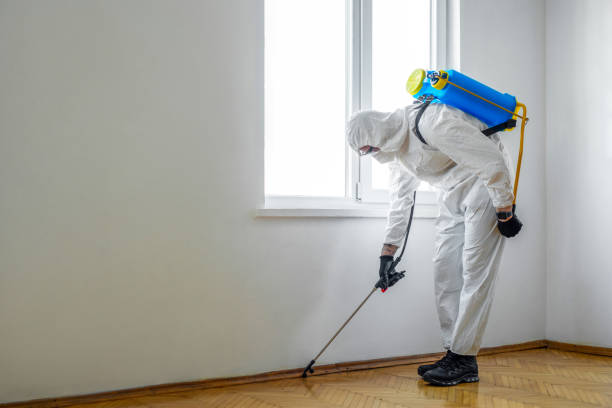 Best Residential Pest Control  in West Point, GA