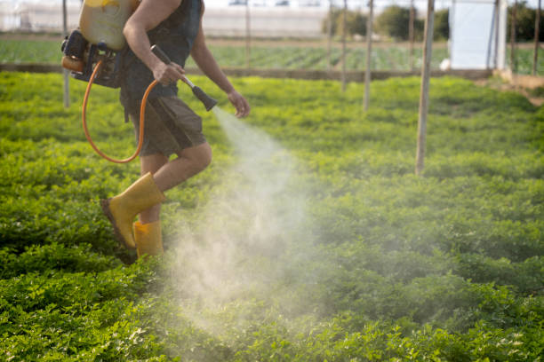Best Mosquito Control Services  in West Point, GA