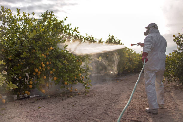 Best Bed Bug Extermination  in West Point, GA