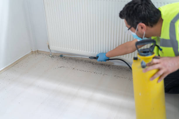 Best Ant Control Services  in West Point, GA